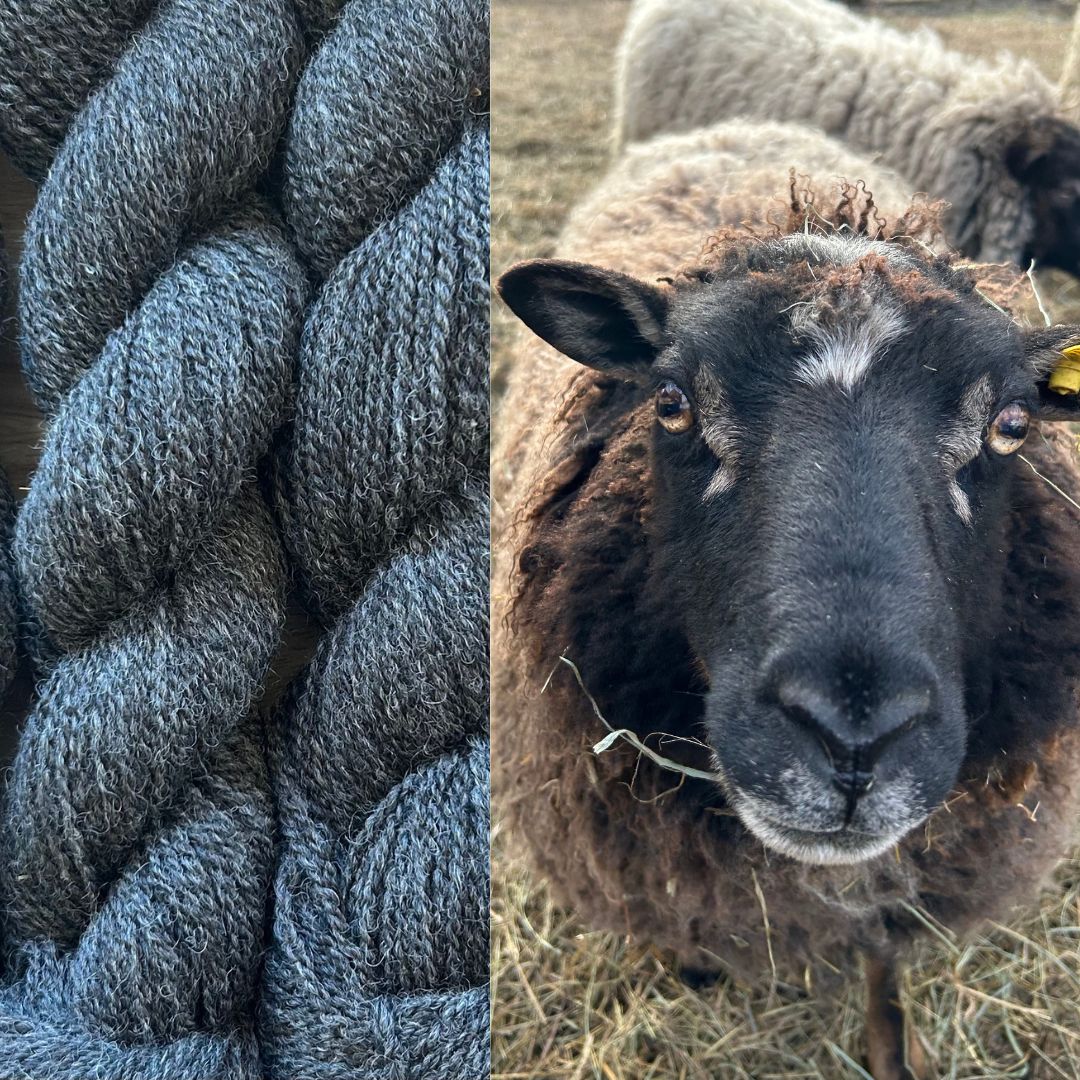 From Fleece to Skein: A tour of Flower Hill Fleeces & Fiber Mill