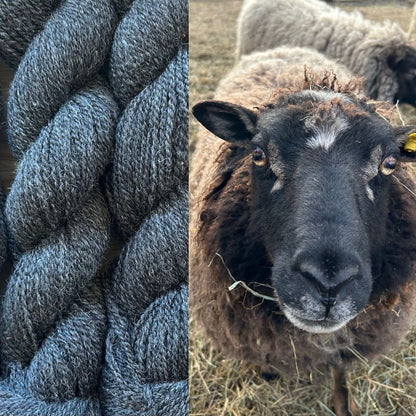 From Fleece to Skein: A tour of Flower Hill Fleeces & Fiber Mill
