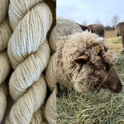 From Fleece to Skein: A tour of Flower Hill Fleeces & Fiber Mill